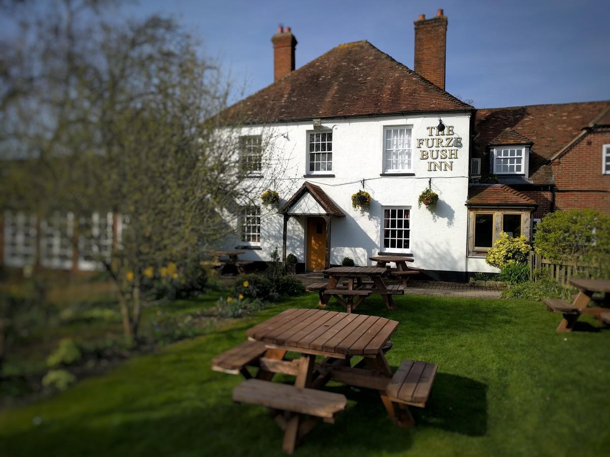 The Furze Bush Inn 纽伯里 外观 照片