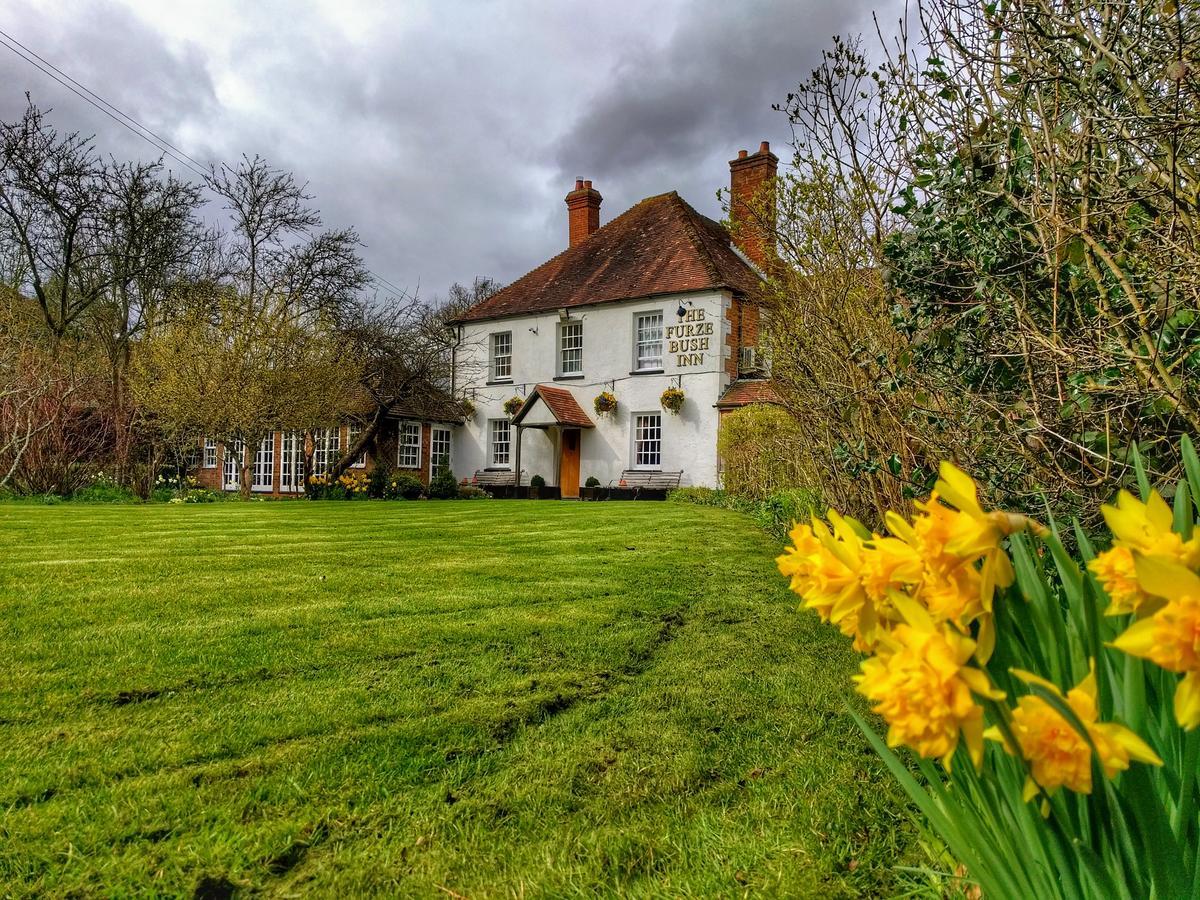 The Furze Bush Inn 纽伯里 外观 照片