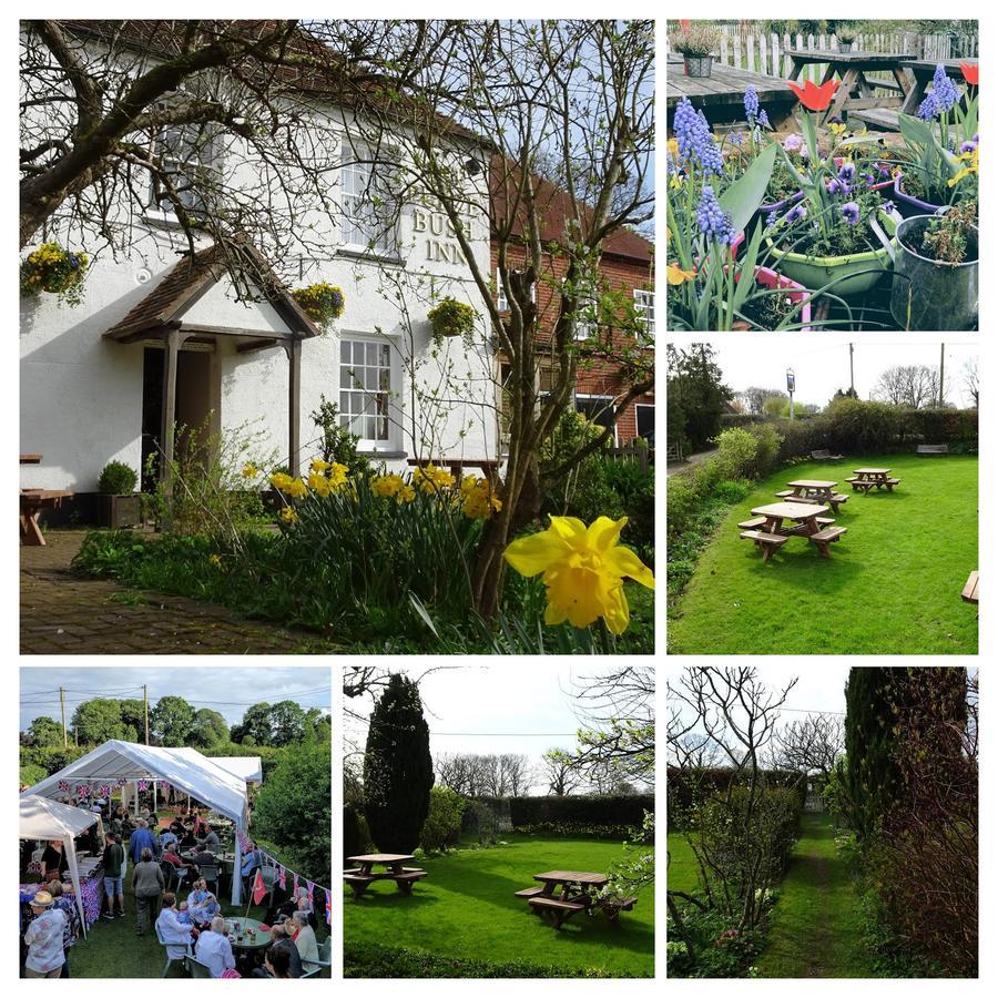 The Furze Bush Inn 纽伯里 外观 照片